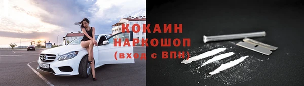МДПВ Михайлов