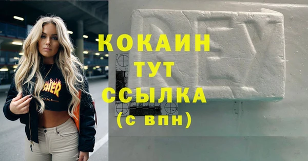 МДПВ Михайлов