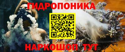шишки Бийск