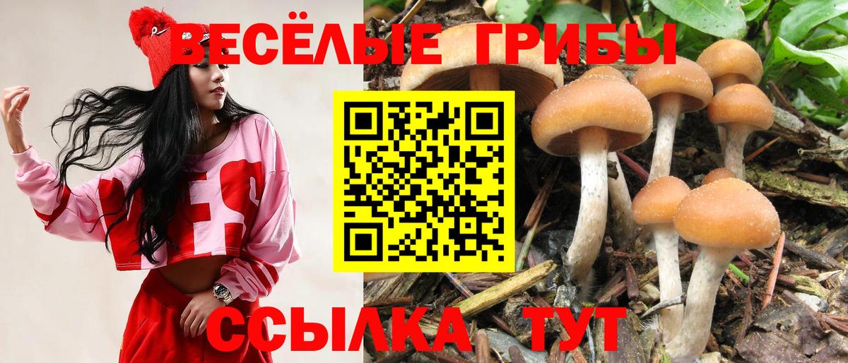 Галлюциногенные грибы MAGIC MUSHROOMS  Воронеж 