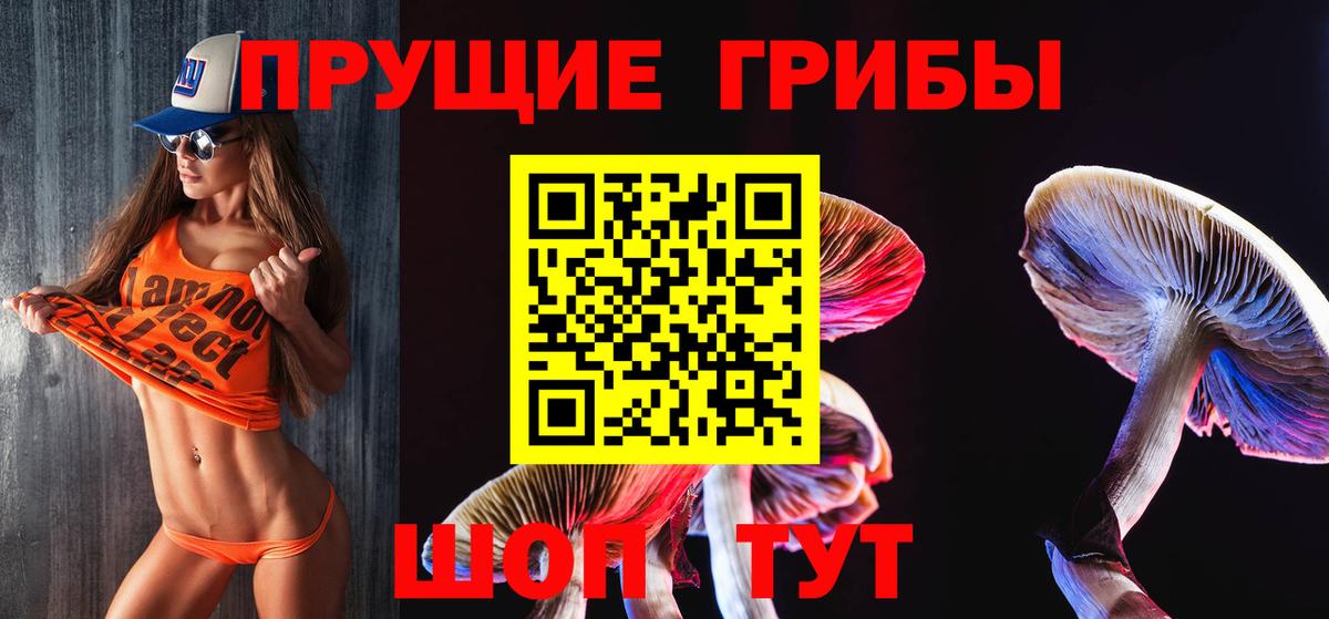 Галлюциногенные грибы мицелий  Вход с VPN  Галлюциногенные грибы GOLDEN TEACHER  Воронеж 