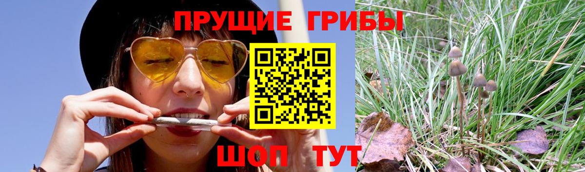 Галлюциногенные грибы мицелий Воронеж